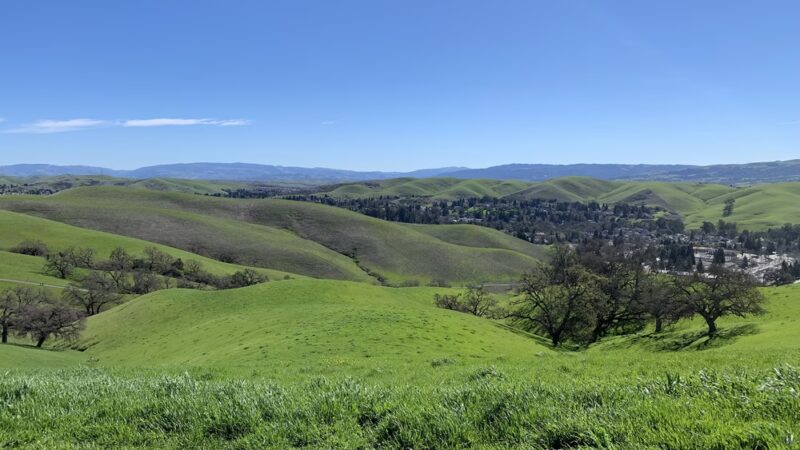 Sycamore Valley Open Space South - Danville, CA