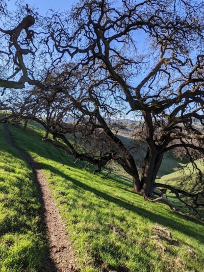 Sycamore Valley Open Space South - Danville, CA