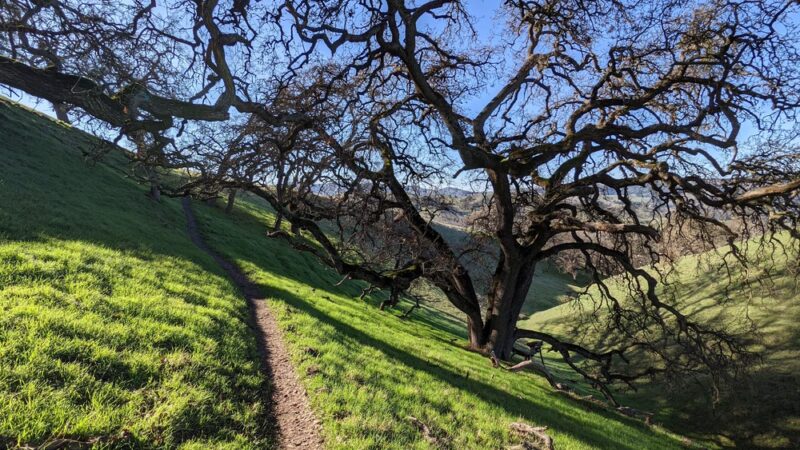 Sycamore Valley Open Space South - Danville, CA
