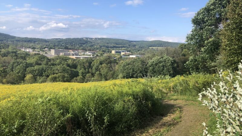 Hopewell Memorial Park - Danville, PA