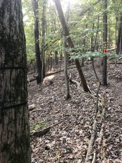 Hopewell Memorial Park - Danville, PA