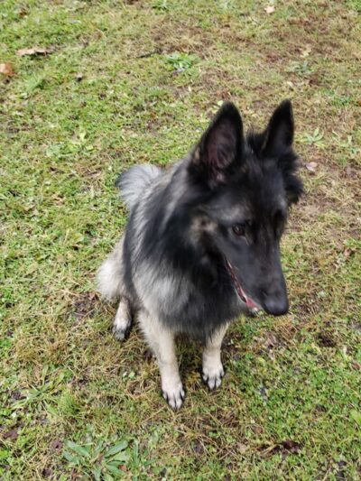 Sunnybrook Park & Pool - Danville, PA