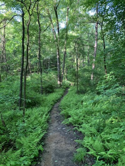 Geisinger Trails Trailhead - Danville, PA