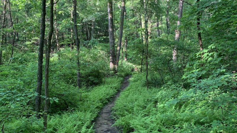 Geisinger Trails Trailhead - Danville, PA