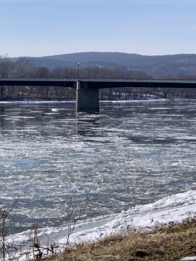 Montgomery Park - Danville, PA