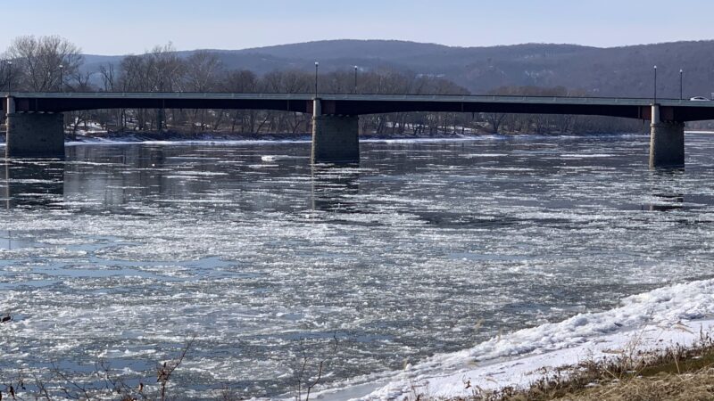 Montgomery Park - Danville, PA