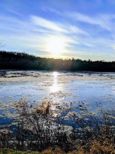 Montgomery Park - Danville, PA