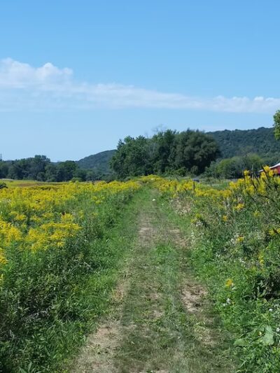 North Branch Canal Trail - Danville, PA