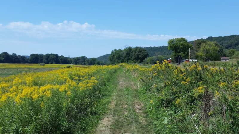 North Branch Canal Trail - Danville, PA