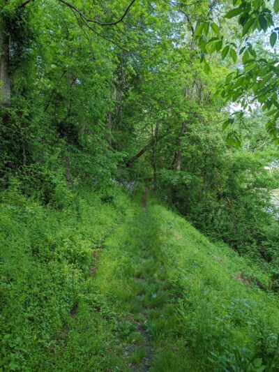 North Branch Canal Trail - Danville, PA