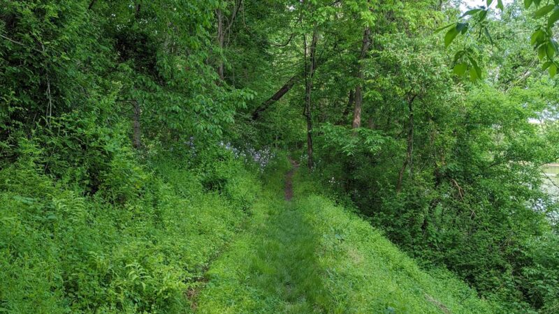 North Branch Canal Trail - Danville, PA