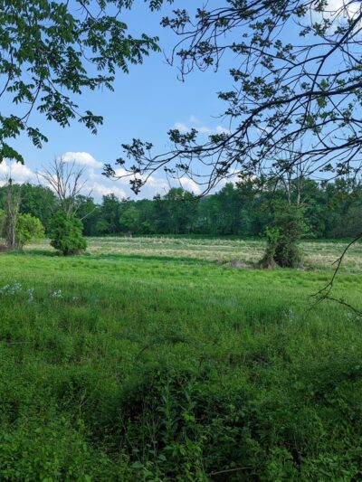 North Branch Canal Trail - Danville, PA