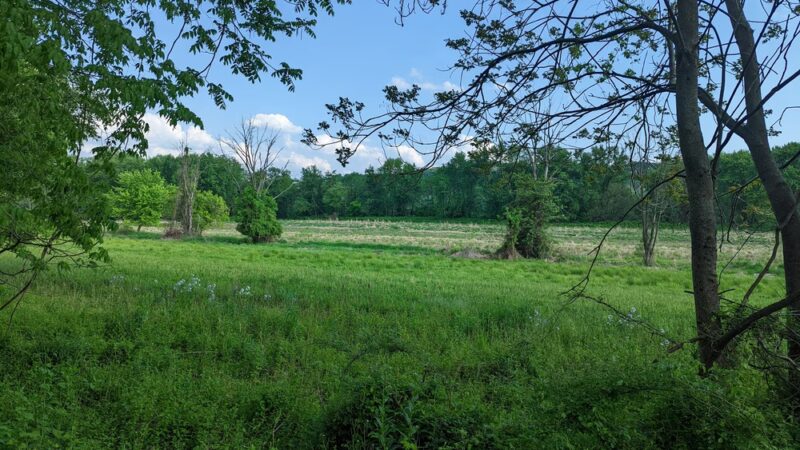 North Branch Canal Trail - Danville, PA