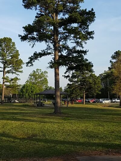 Dardanelle City Park - Dardanelle, AR