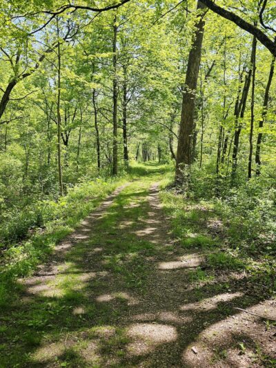 North Country Trail Parking Cannelton Rd, Darlington - Darlington, PA