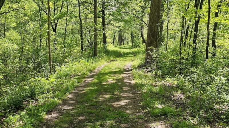 North Country Trail Parking Cannelton Rd, Darlington - Darlington, PA
