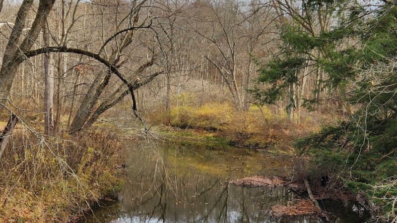North Country Trail Parking Cannelton Rd, Darlington - Darlington, PA