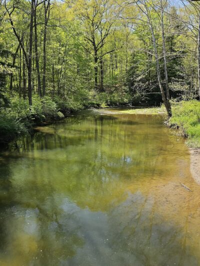 North Country Trail Parking Cannelton Rd, Darlington - Darlington, PA