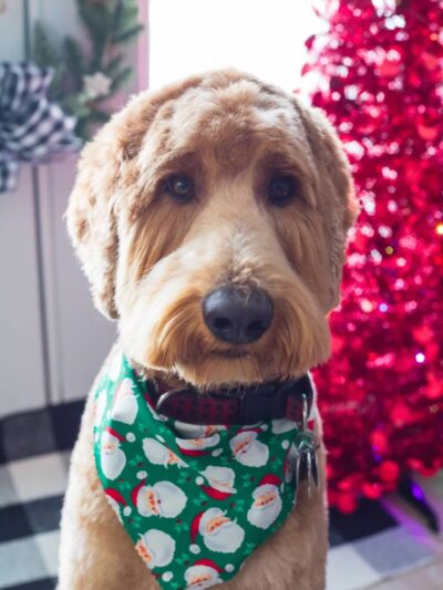 The Drool Spaw & Activity Center LLC - Darlington, PA