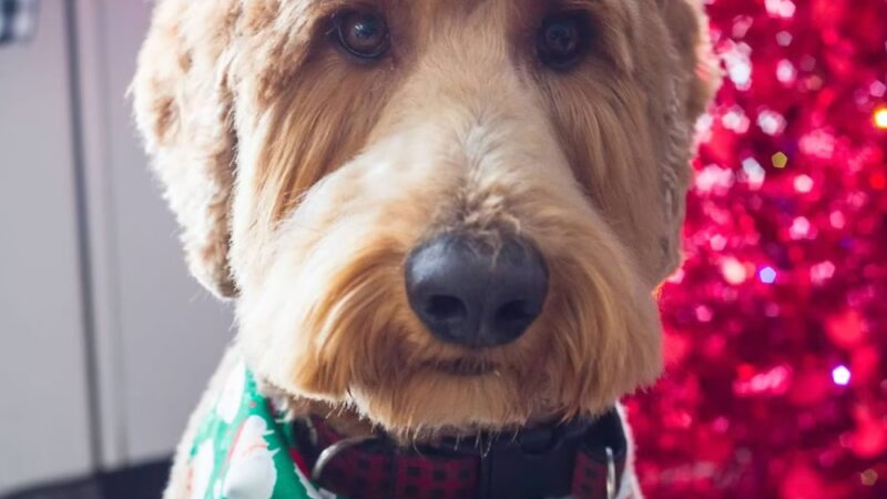 The Drool Spaw & Activity Center LLC - Darlington, PA