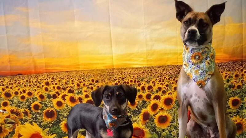 The Drool Spaw & Activity Center LLC - Darlington, PA