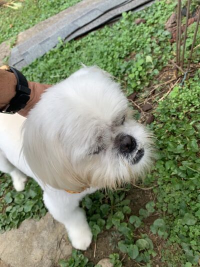 The Drool Spaw & Activity Center LLC - Darlington, PA