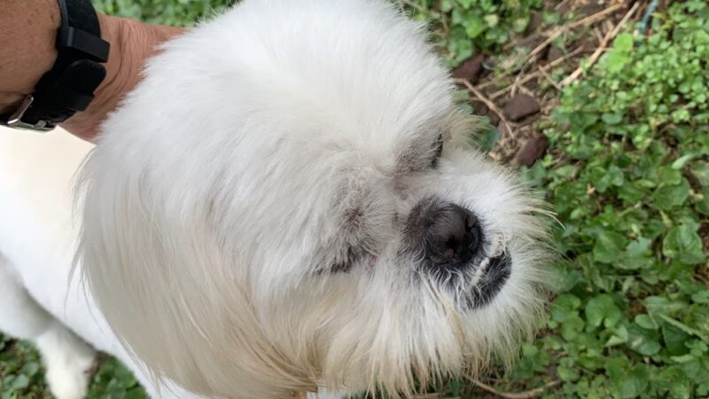 The Drool Spaw & Activity Center LLC - Darlington, PA