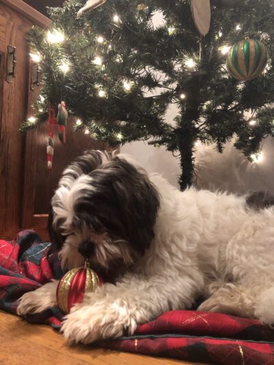 The Drool Spaw & Activity Center LLC - Darlington, PA