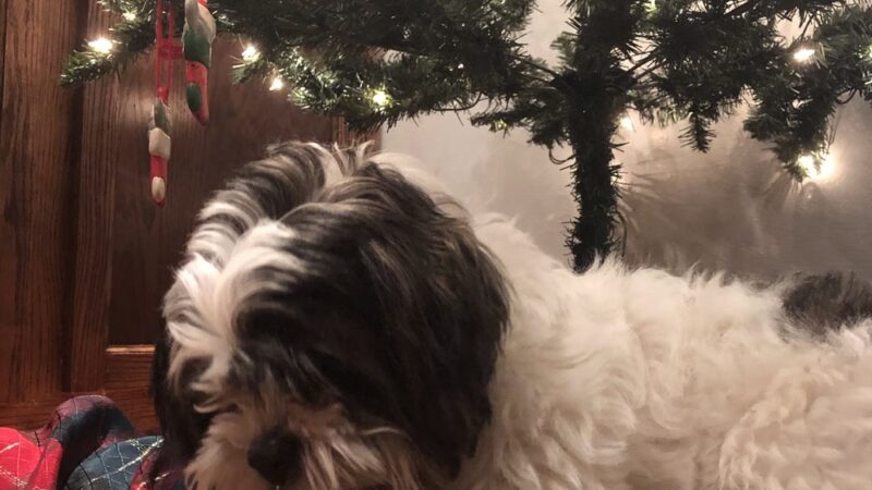 The Drool Spaw & Activity Center LLC - Darlington, PA