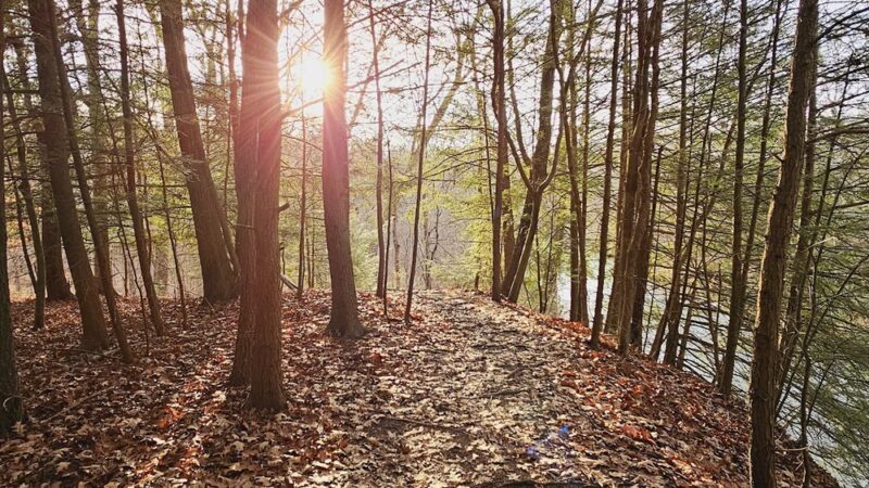 Watt's Mill North Country Trail - Trailhead - Darlington, PA