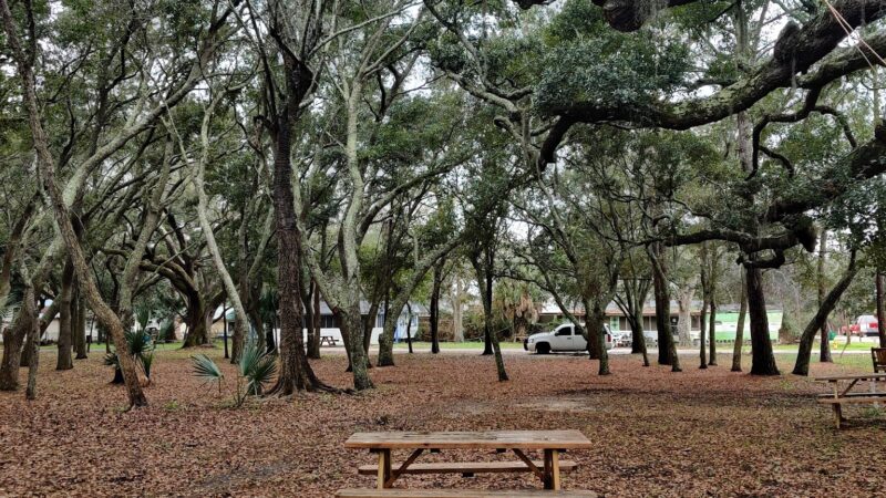 Green Park - Dauphin Island, AL