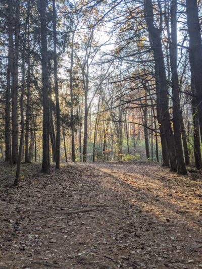 Detweiler Park - Dauphin, PA