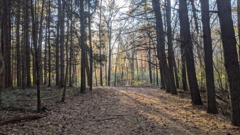 Detweiler Park - Dauphin, PA