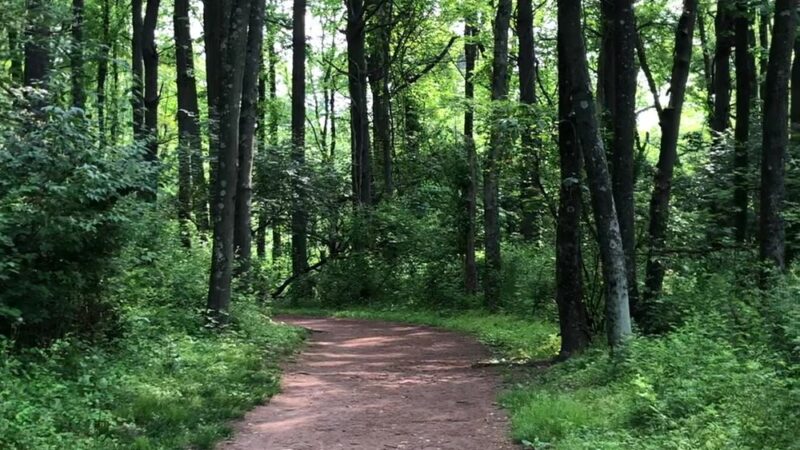 Detweiler Park - Dauphin, PA