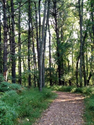 Detweiler Park - Dauphin, PA