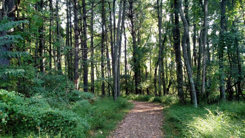 Detweiler Park - Dauphin, PA