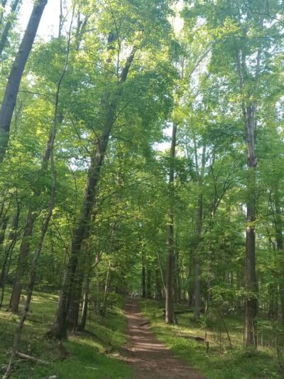 Detweiler Park - Dauphin, PA