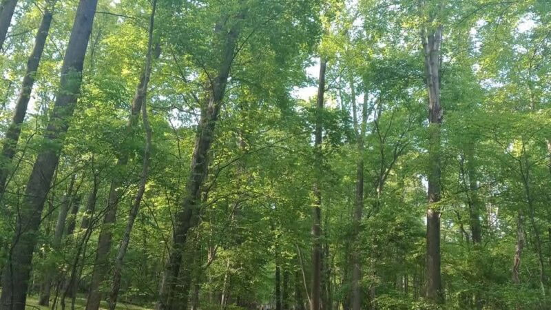 Detweiler Park - Dauphin, PA