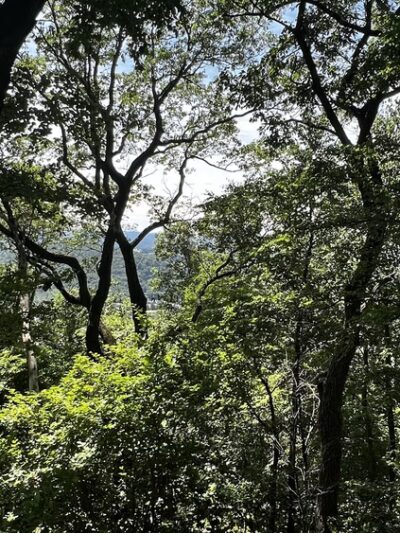 Peter's Mountain - Dauphin, PA