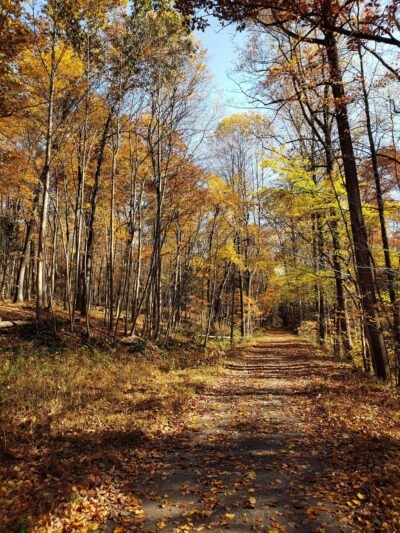 Stony Valley Rail Trail Trailhead--WEST Terminus - Dauphin, PA