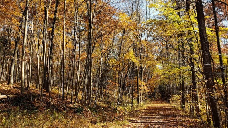 Stony Valley Rail Trail Trailhead--WEST Terminus - Dauphin, PA