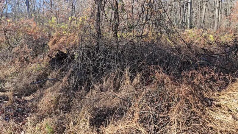 Stony Valley Rail Trail Trailhead--WEST Terminus - Dauphin, PA
