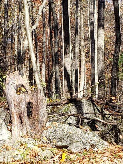 Stony Valley Rail Trail Trailhead--WEST Terminus - Dauphin, PA