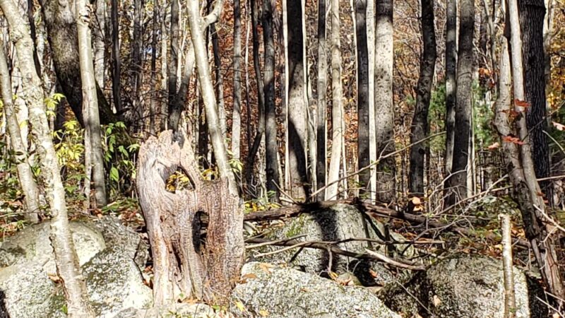 Stony Valley Rail Trail Trailhead--WEST Terminus - Dauphin, PA