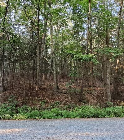 Stony Valley Rail Trail Trailhead--WEST Terminus - Dauphin, PA