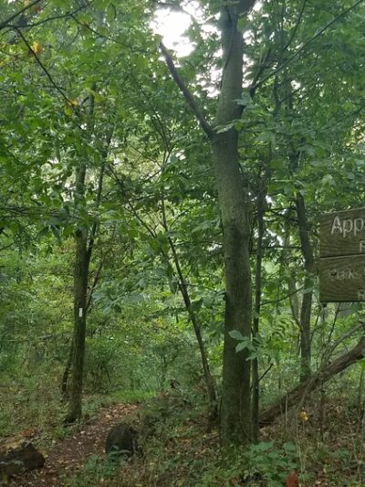 Susquehanna Trail Jct. East - Dauphin, PA