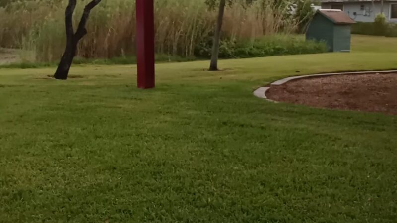 Davie Veterans Park - Davie, FL