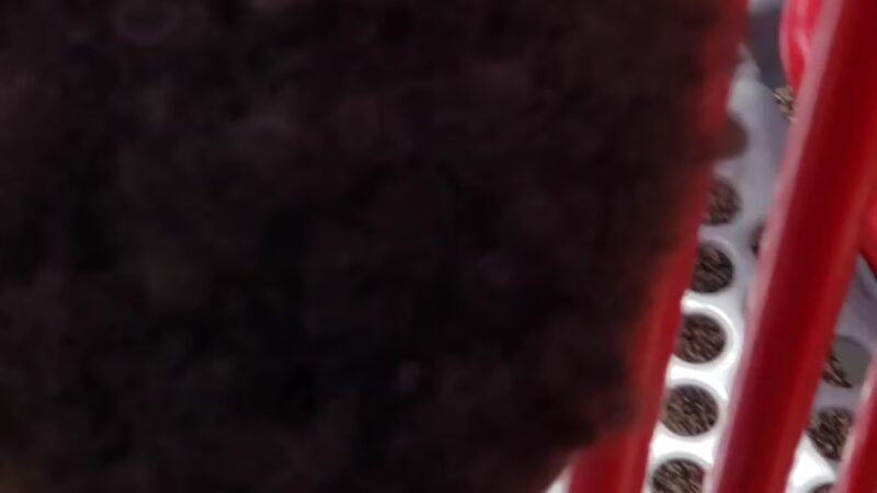 Firefighters Park - Davie, FL