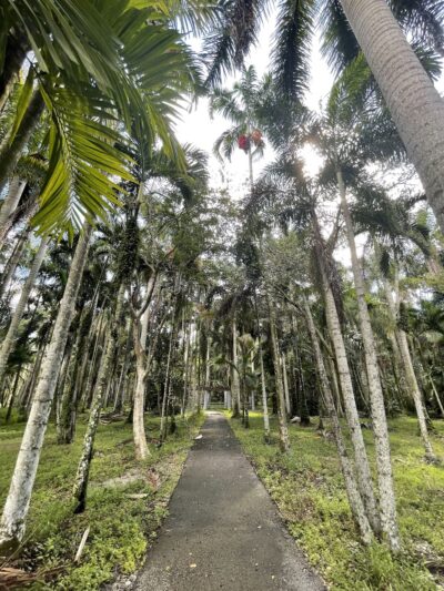 Peaceful Ridge Dog Park - Davie, FL