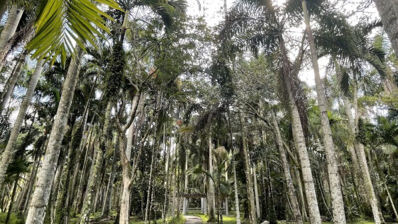 Peaceful Ridge Dog Park - Davie, FL